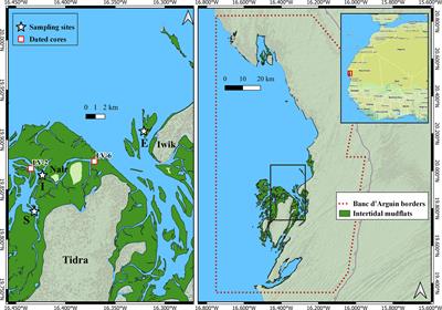 Fossilized diatoms as indirect indicators of the origin of carbon stored in intertidal flats